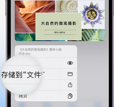 双流apple维修中心分享iPhone文件应用中存储和找到下载文件