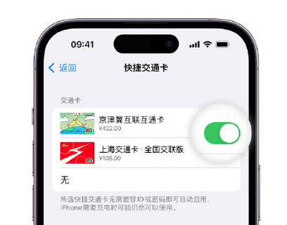 双流apple维修点分享iPhone上更换Apple Pay快捷交通卡手绘卡面 