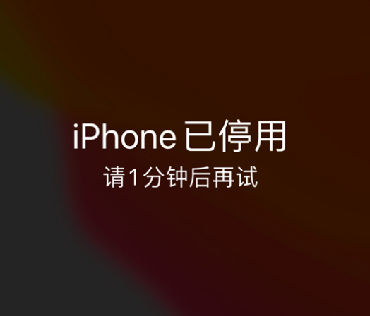 双流苹果手机维修分享:iPhone 显示“不可用”或“已停用”怎么办？还能保留数据吗？ 