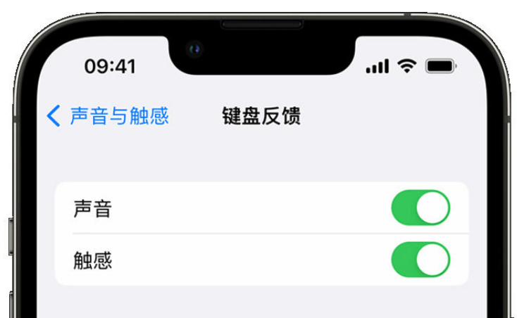 双流苹果手机维修分享iPhone 14触感键盘使用方法 