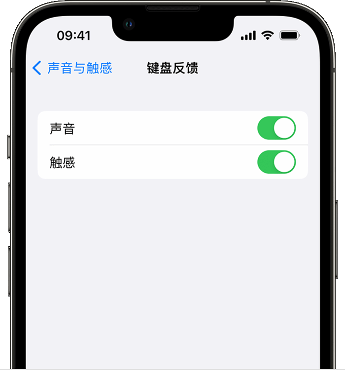 双流苹果14维修店分享如何在 iPhone 14 机型中使用触感键盘 