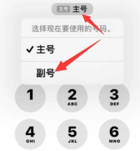 双流苹果14维修店分享iPhone 14 Pro Max使用副卡打电话的方法 