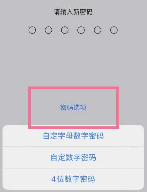 双流苹果14维修分享iPhone 14plus设置密码的方法 