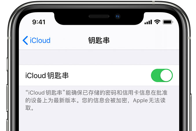 双流苹果手机维修分享在 iPhone 上开启 iCloud 钥匙串之后会储存哪些信息 