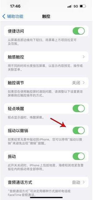 双流苹果手机维修分享iPhone手机如何设置摇一摇删除文字 